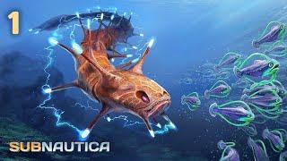 GETTING STARTED! | Subnautica #1 | Long-play | No Commentary | HK Gamer Bros