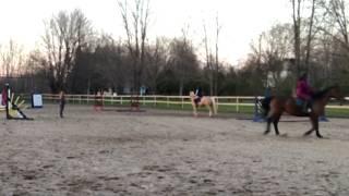 Cours d’équitation du 7 mai 2019