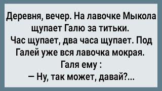 Как Мыкола На Лавочке Галю Щупал! Сборник Свежих Анекдотов! Юмор!