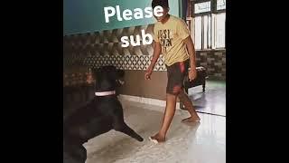 please subscribe keshav legend pro #short