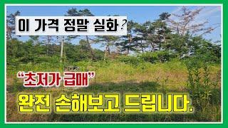 밀양 토지 매매- 매물1,144번("초급매"  이 가격 정말 실화?  6년 전 취득원가도 안 되는 완전 손해 보고 드리는 급매물)