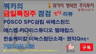 금일특징주 - POSCO SPC삼립 씨에스윈드 에스엘 키다리스튜디오 텔레칩스 한솔케미칼 / 구독자요청 - 이녹스첨단소재 원익Qnc