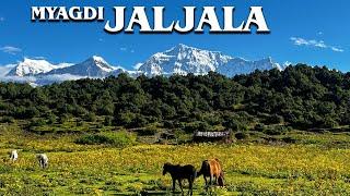 JALJALA MYAGDI  || Oldest Treking Route In West Dhaulagiri Circuit |Dhorpatan Nepal #jaljala