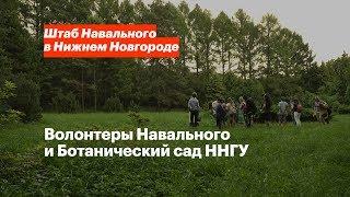 Волонтеры Навального и Ботанический сад ННГУ