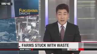 Nuclear Watch: Fukushima Disposal of farming-related radioactive waste slow 3/7/2015