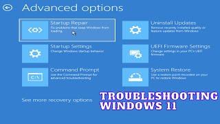 Windows 11 advanced startup options for troubleshooting