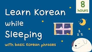 Learn Basic Korean Phrases while Sleeping - 8 hours