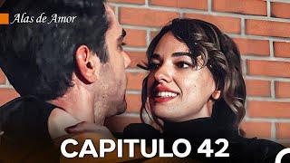 Alas de Amor Capitulo 42 (Doblado En Español)