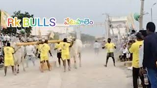 6 జాతా RK bulls వేటపాలెం వీరసింహ & సమర సింహ 