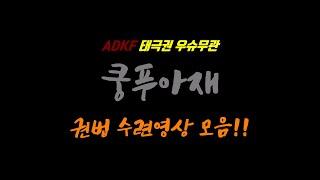 ADKF 쿵푸아재, 권법 모음입니다. ( 팔극권, 소림권, 형의권, 우슈.. )