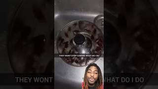 What would you do if a  #cockroach infestation was in your sink#funny #memes #shorts