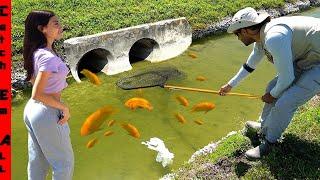 We FOUND a CLEAR WATER Ditch Underneath a HIGHWAY with COLORFUL FISH!