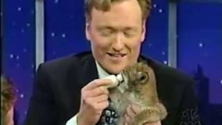 Late Night 'Jarod Miller and the Most Dangerous Animals 5/18/2001
