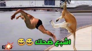 جديد فيديوهات الضحك هههههه 2022 فيديوهات موت بالضحك #21