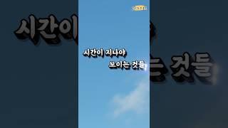 시간이 지나야 보이는 것들 #명언 #좋은글 #지혜 #인생조언