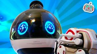 Robot Adventure: ebo  EBO X COZMO  cozmo