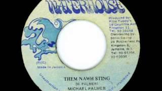 Michael Palmer - Them Nawh Sting