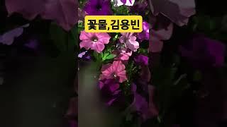 #꽃물#원곡신유#김용빈#미스터트롯3진