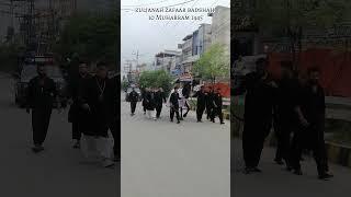 Zuljanah| Zaafar Badshah|Matwali Agha saadat Mehdi| Lahore | 10 Muharram