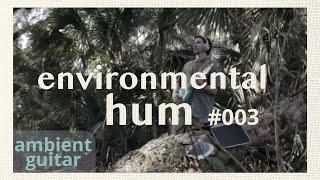 Environmental Hum 003 | Lake Jesup Conservation Area | Trail Hike & Live Ambient Guitar Performance