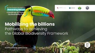 Mobilizing the billions: Pathways to achieving the Global Biodiversity Framework_draft