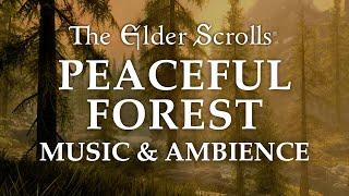 The Elder Scrolls Music & Ambience | Peaceful Forest, 5 Beautiful Scenes with Calm Music Mix, 6 Hrs