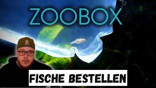 Fische bei @ZOOBOXde Remscheid online bestellen