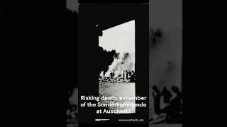 Burning of Bodies at Auschwitz II-Birkenau | Jewish History Unfolded