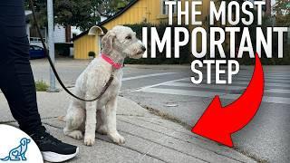 STOP Traditional Leash Walking And Try THIS Instead!