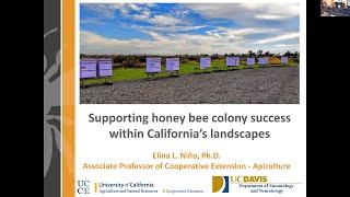 Elina L. Niño -  UC Davis Research Updates October 2023