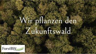 Wir pflanzen den Zukunftswald