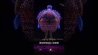 原来这就是无人机表演的真相 #科普一下 #冷知识 #有趣的知识