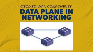 Cisco SD-WAN Components: Data Plane in Networking | Cisco SD WAN (ENSDWI 300-415) | PyNet Labs