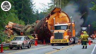 Extreme Dangerous Big Logging Wood Truck Driving Skill | Fastest Chainsaw Cutting Tree Machines #9