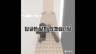 한국인들의 단합력 테스트~ #로블록스 #단합력#테스트#추천