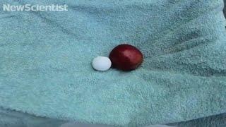 Gravitational waves explained with a towel and an apple