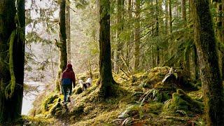 Grit, Authenticity, and Persistence: The Return of Wild Grit!