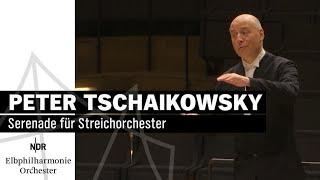 Tchaikovsky: Serenade for Strings with Paavo Järvi | NDR Elbphilharmonie Orchestra