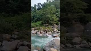 North Bengal natural beauty it's just wow️️️️️. Please subscribe, like, share and comment.