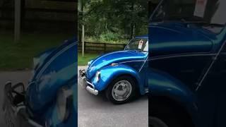 Harewood house VW Festival VW Beetles VW Bus VW Splitscreen VW Bay VW baja VW T4 Van #Shorts #car