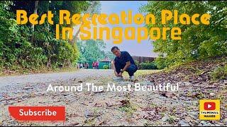RECREATION AT MAC RITCHIE RESERVOIR SINGAPORE/RIADAH PETANG/RYU.CHANNEL