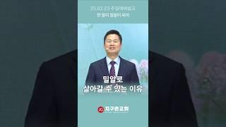 밀알로 살아갈 수 있는 이유 #shorts #ag지구촌교회 #주일예배설교 #강신승담임목사