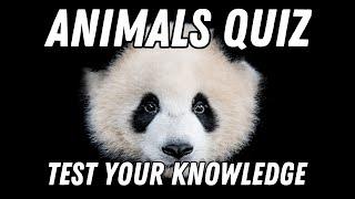 Animal World Quiz - How Many Can You Answer? 100 Questions