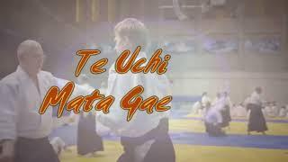 Te Uchi Mata Gaeshi-Aikibudo- M Alain Floquet