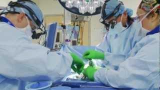 Minimally Invasive Spine Surgery