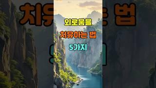 외로움을 치유하는 법 5가지  #명언 #좋은글 #지혜