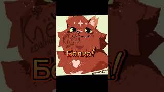 |Белка| подаю признаки жизни #котывоители #warriorcats #реки #catswarrior