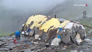 Best Life in The Nepali Mountain Sheep Shepherd Life | Organic Food Cooking | Real Nepaali Shepherd