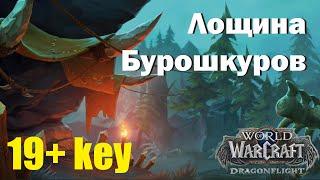 ТАКТИКА: Лощина Бурошкуров / ключ 19 / World of Warcraft: Dragonflight 10.1