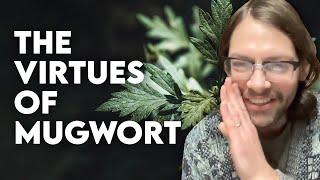 MUGWORT | Virtues, stories & magic